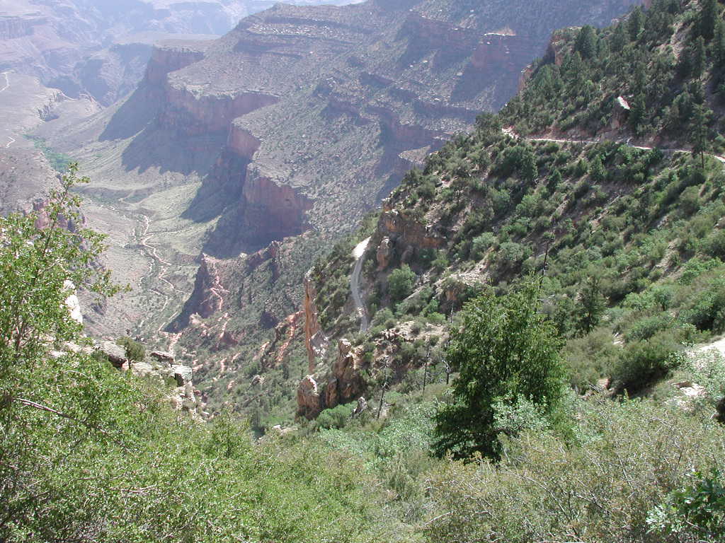 DSCN0423
