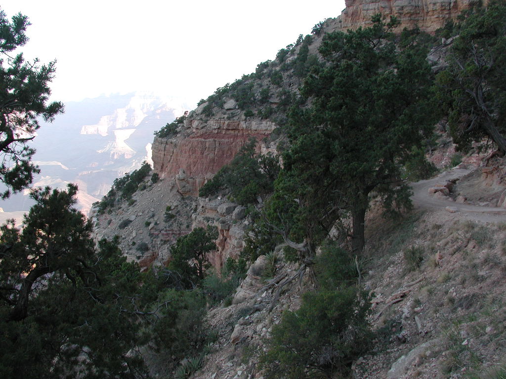 DSCN0220