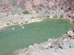 DSCN0269