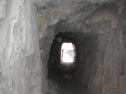 DSCN0272