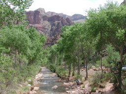 DSCN0279