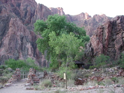 DSCN0283