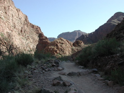 DSCN0309