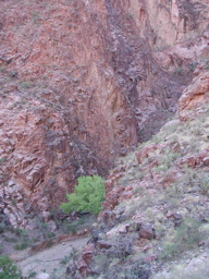 DSCN0312