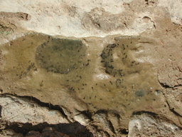 DSCN0320