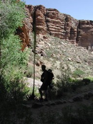DSCN0331