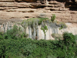 DSCN0334