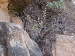 DSCN0336
