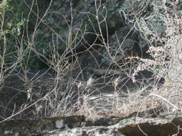 DSCN0337
