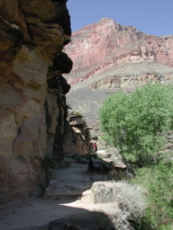 DSCN0338