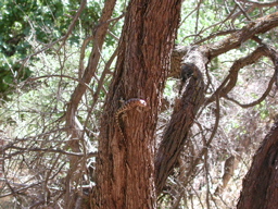 DSCN0344