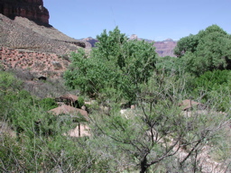 DSCN0347