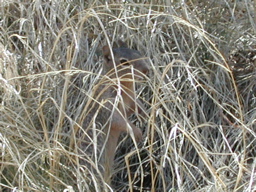 DSCN0351