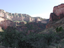 DSCN0359