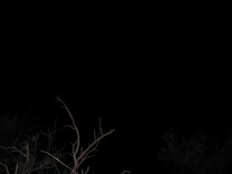 DSCN0371