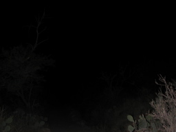 DSCN0372
