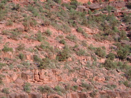 DSCN0392