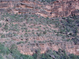 DSCN0393