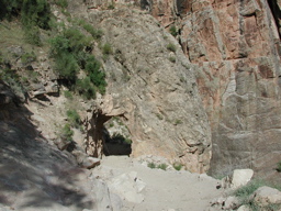 DSCN0410