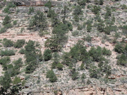 DSCN0417