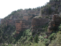 DSCN0422