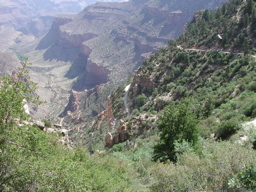 DSCN0423