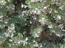DSCN0424