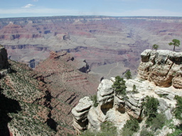 DSCN0083