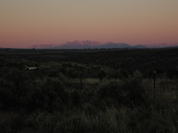 DSCN0514