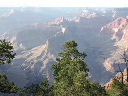 DSCN0130