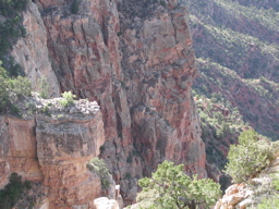 DSCN0159