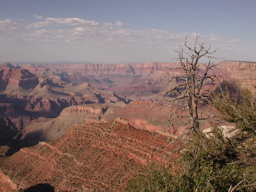 DSCN0161