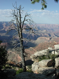 DSCN0162