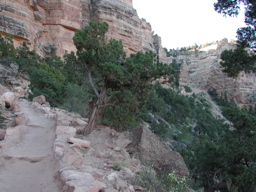DSCN0218