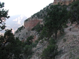 DSCN0220