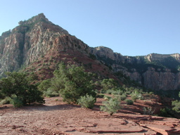 DSCN0229