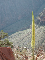 DSCN0233