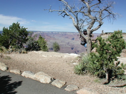 DSCN0100