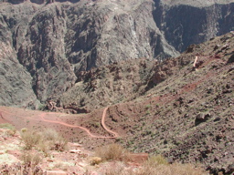 DSCN0260