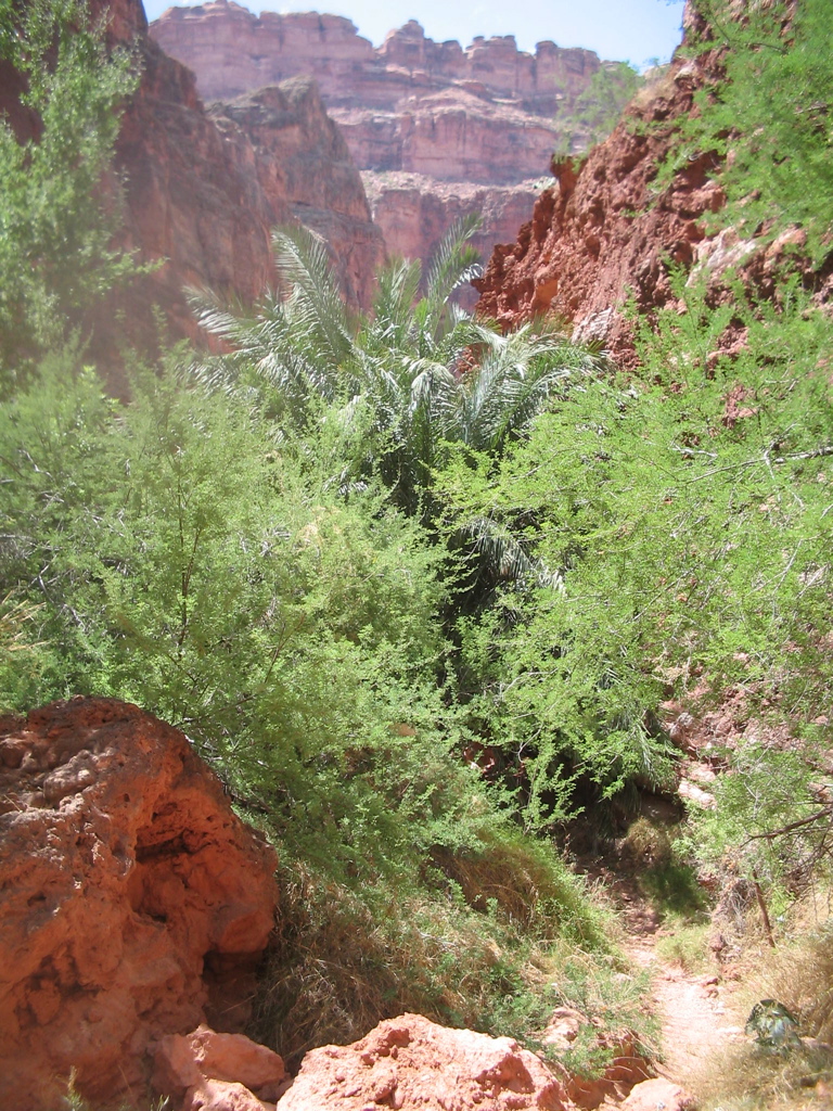 IMG_2723.JPG
