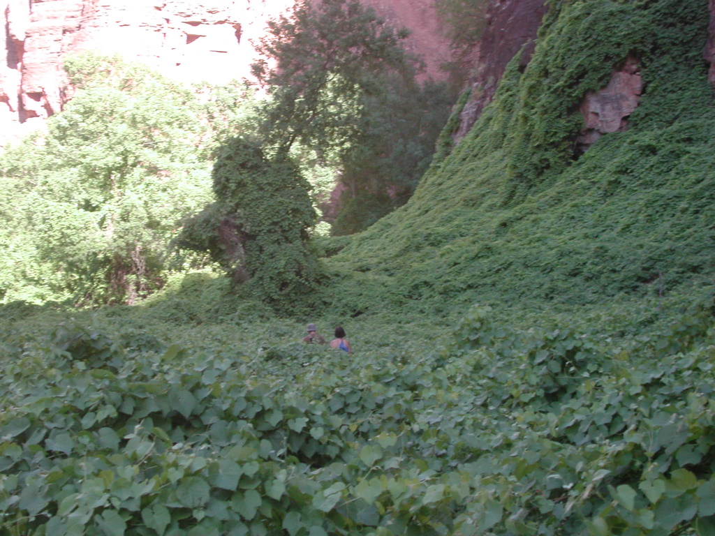 DSCN3862.JPG