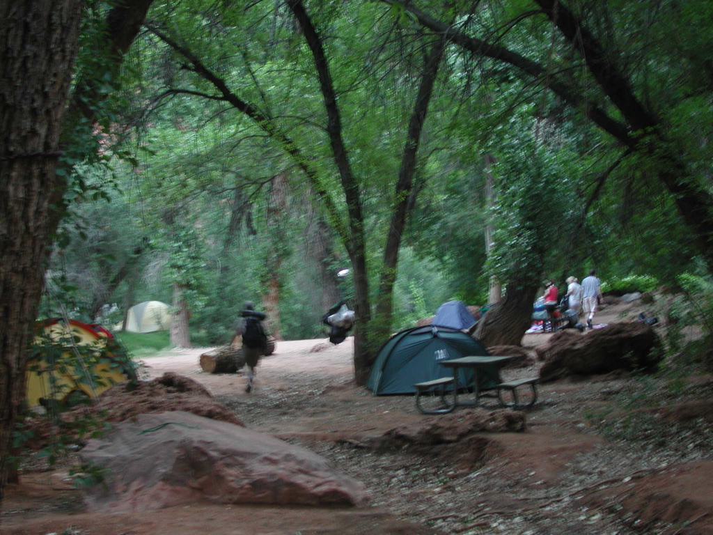 DSCN3871.JPG