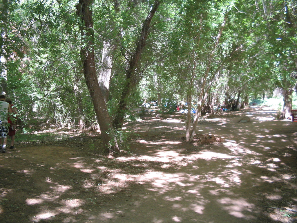 IMG_2771.JPG