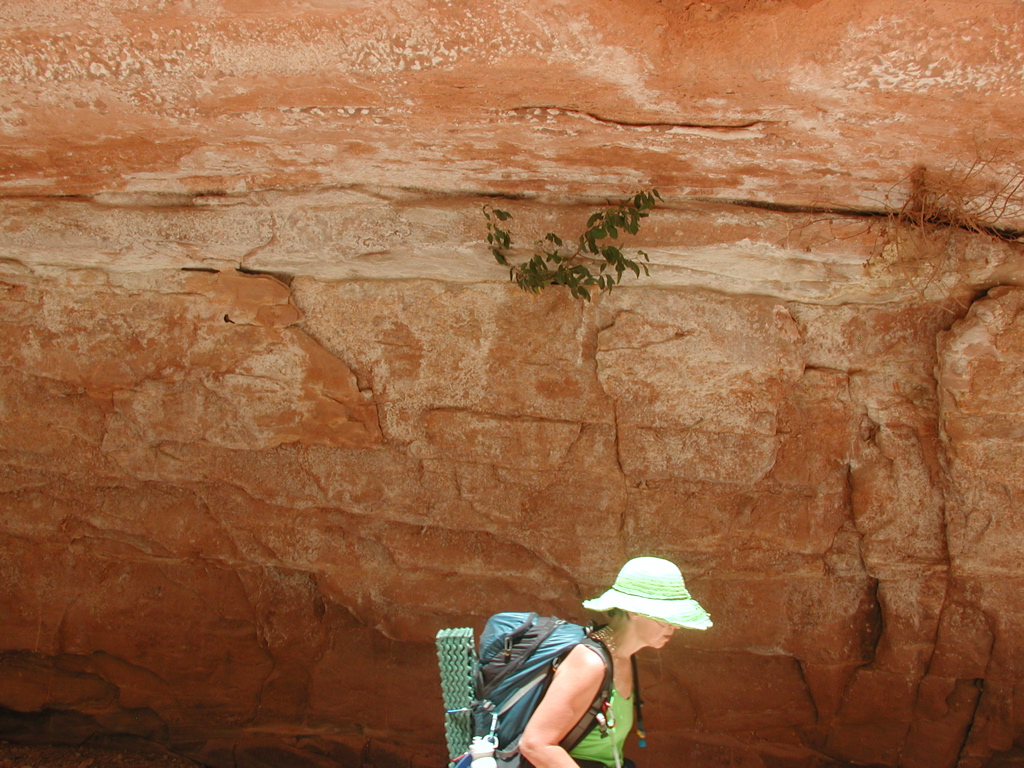 DSCN3723.JPG