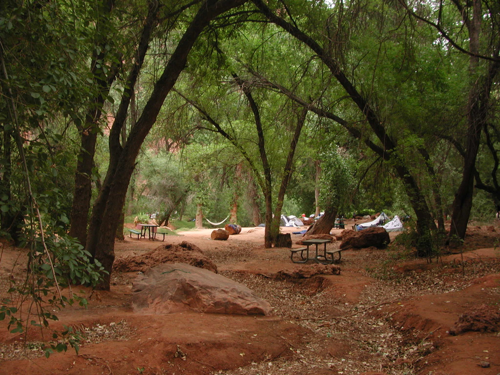 DSCN3919.JPG