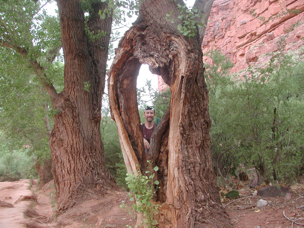 DSCN3929.JPG