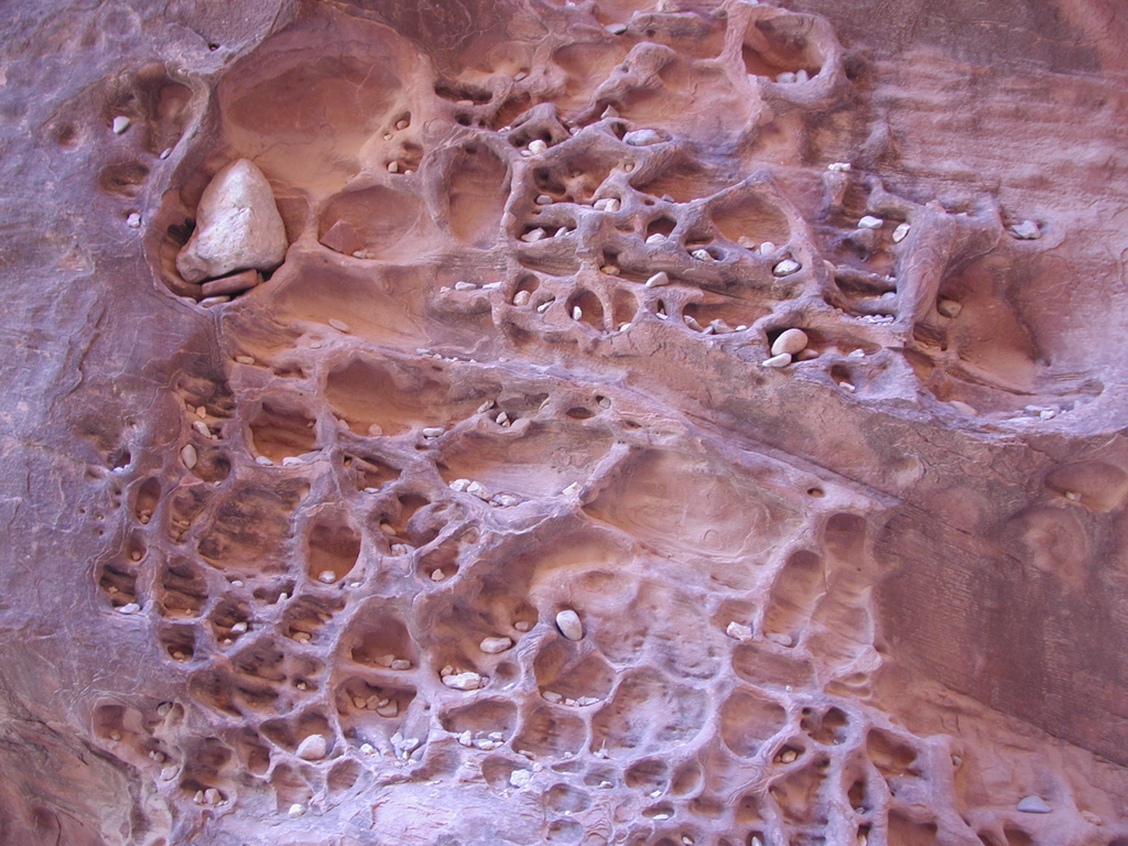 DSCN3726.JPG