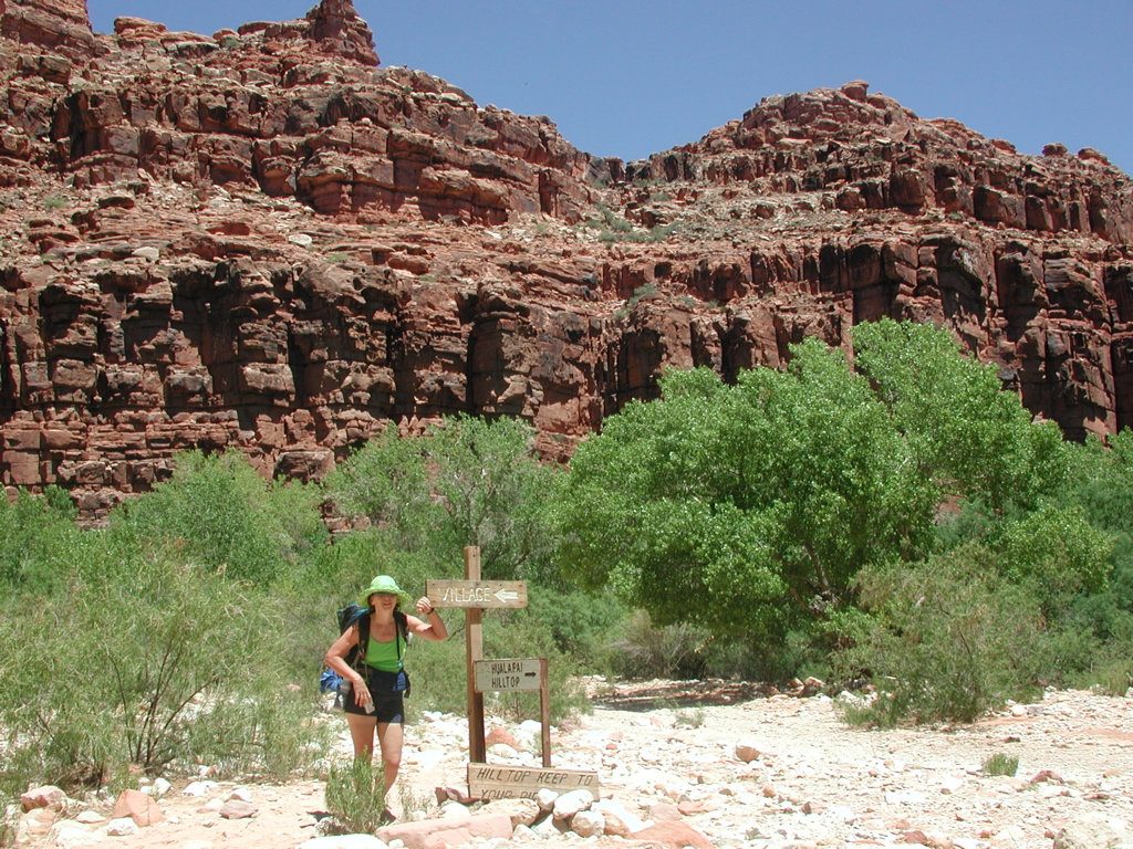 DSCN3727.JPG