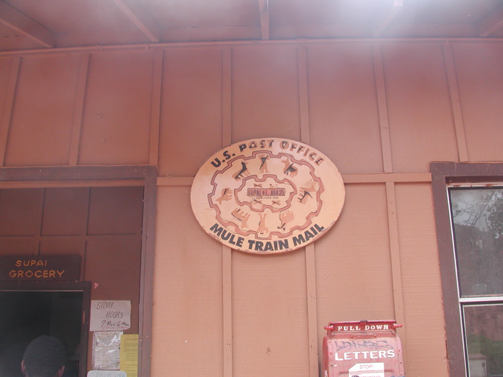 DSCN3940.JPG