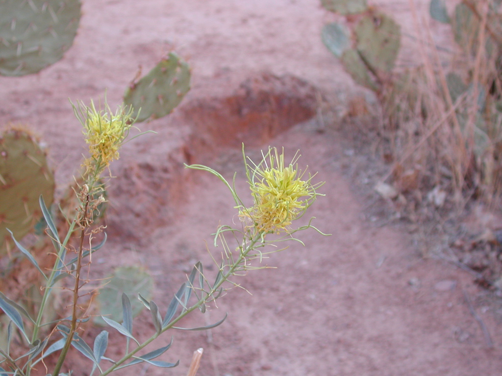 DSCN3771.JPG